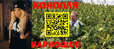 сатива Заводоуковск