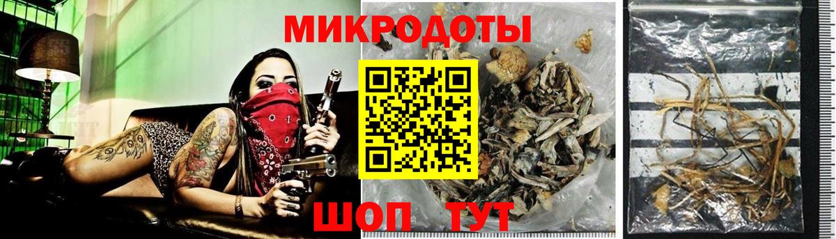 Киселёвск  Псилоцибиновые грибы GOLDEN TEACHER  Вход с VPN 